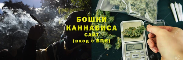 шишки Абаза