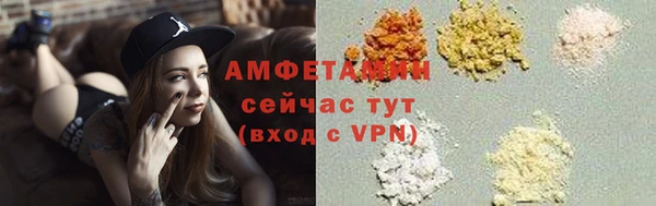 шишки Абаза