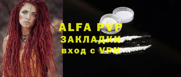 шишки Абаза