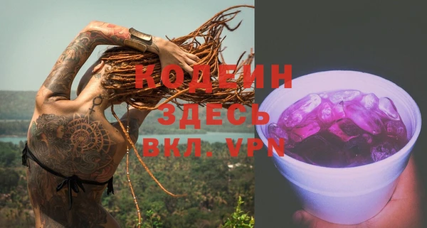 шишки Абаза