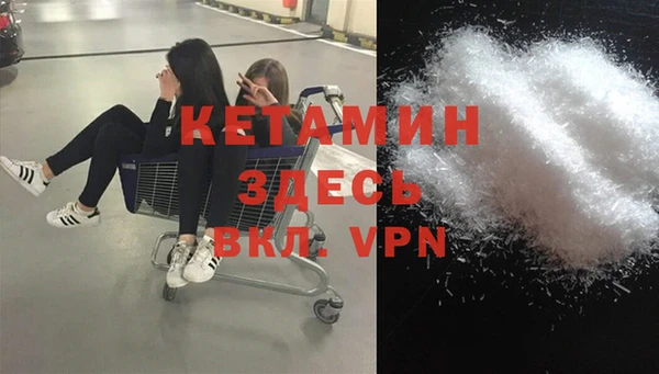 шишки Абаза