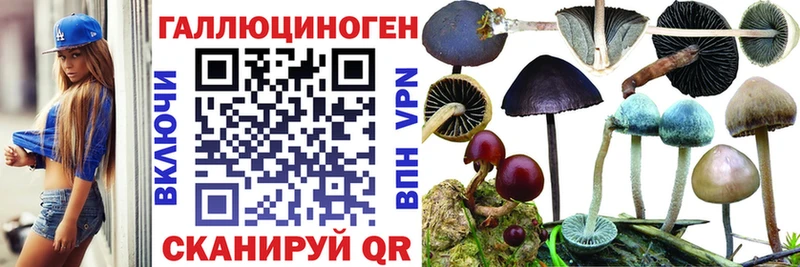 Галлюциногенные грибы GOLDEN TEACHER  нарко площадка Telegram  Советская Гавань 