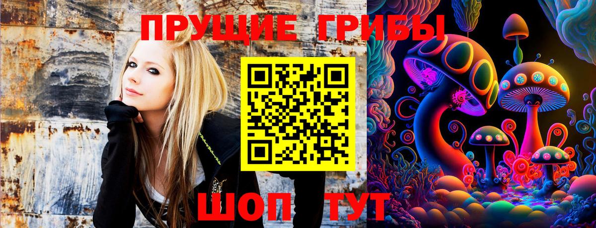 Псилоцибиновые грибы мухоморы  Вход с VPN  Советская Гавань  Псилоцибиновые грибы GOLDEN TEACHER 