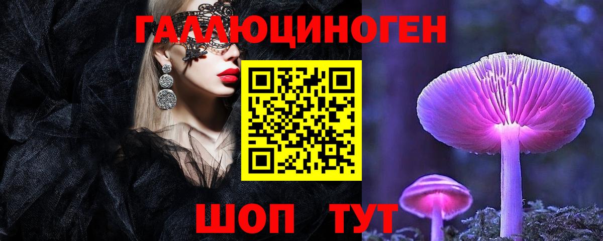 Галлюциногенные грибы Cubensis Советская Гавань