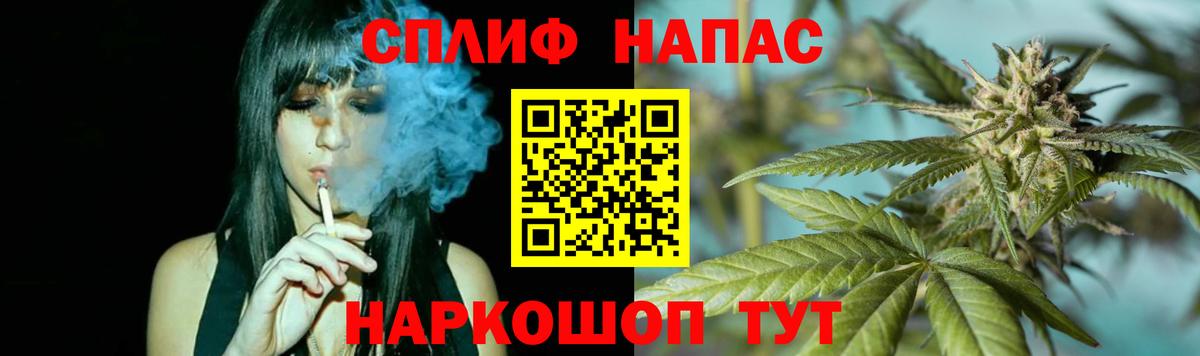 Канабис Bruce Banner Советская Гавань